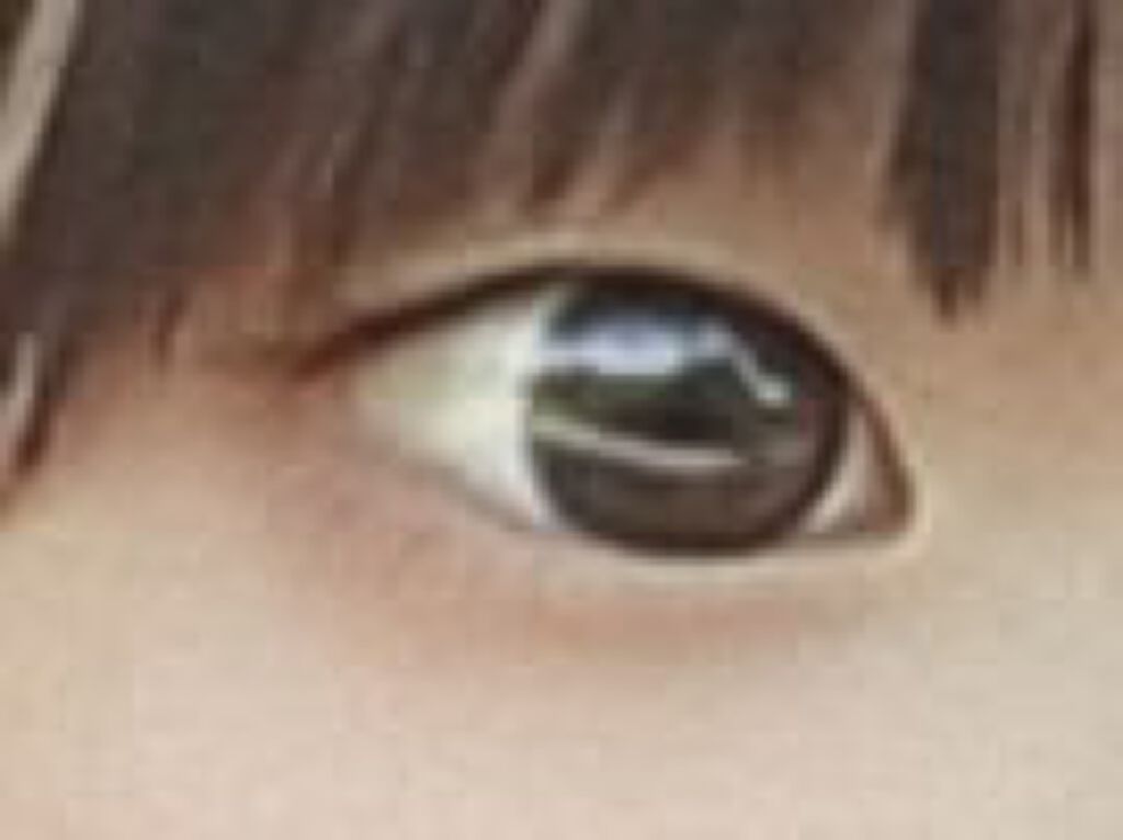 ソフト ムード アイシャドウ パレット/Peach C/アイシャドウパレットを使ったクチコミ(2枚目)