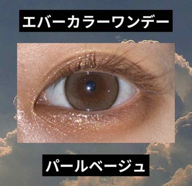 エバーカラーワンデー ナチュラル/エバーカラー/ワンデー（１DAY）カラコンを使ったクチコミ（1枚目）