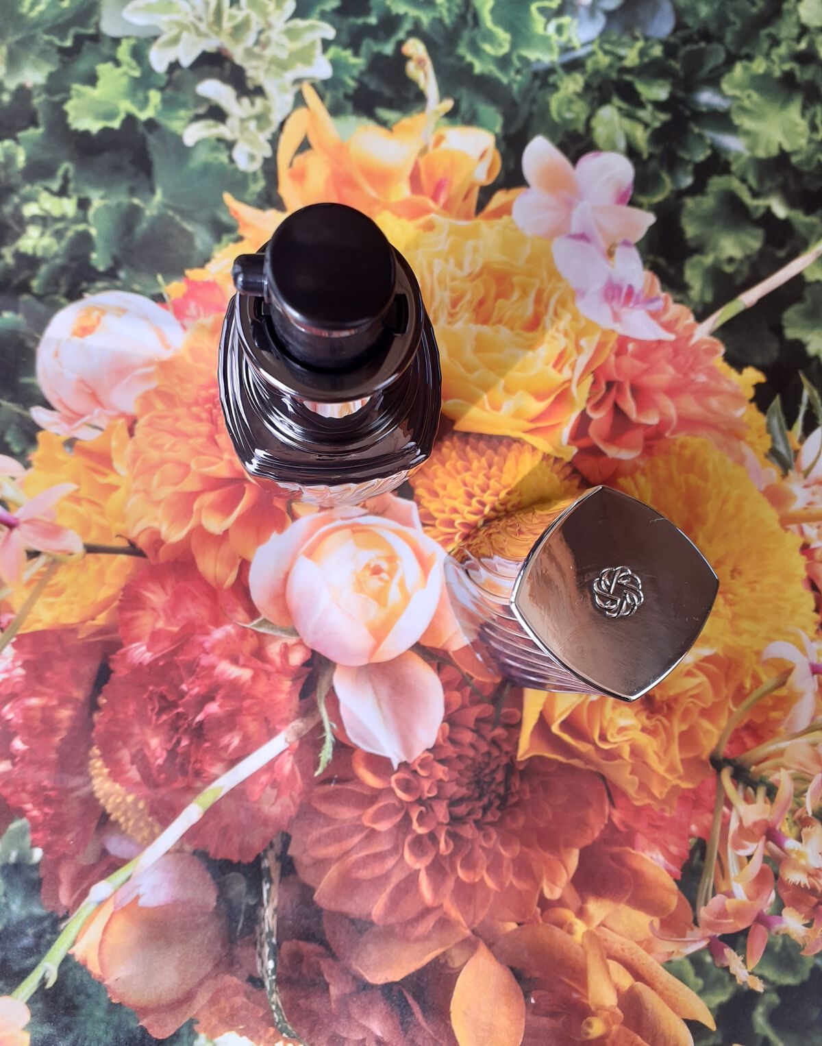 ホワイトロジスト ネオジェネシス ブライトニング コンセントレイト/DECORTÉ/美容液を使ったクチコミ(2枚目)