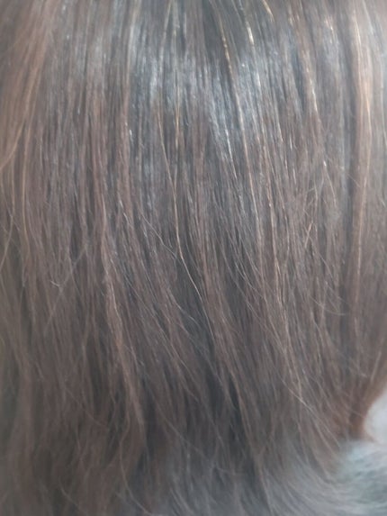 モイスチャーリペアエッセンスオイル/ララプリモ /アウトバストリートメントを使ったクチコミ(6枚目)