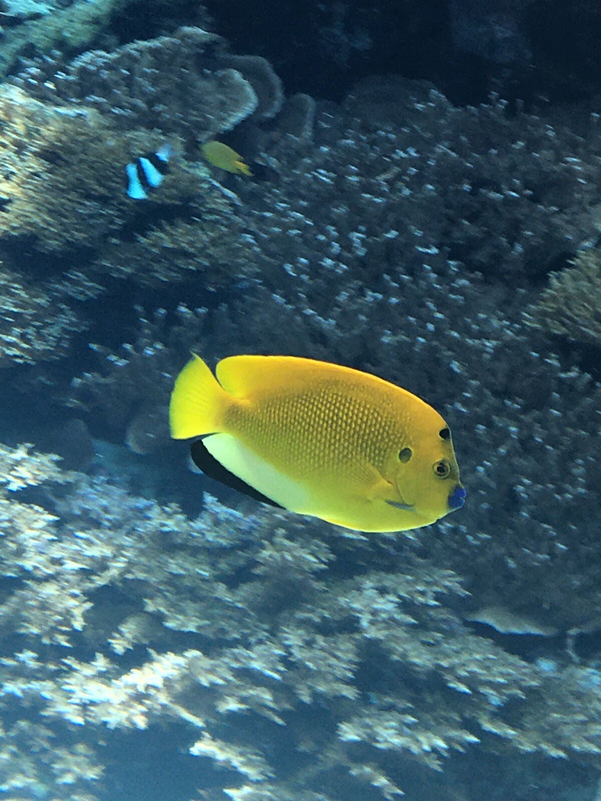 å ã
ãðððð on LIPS ãããã«ã¡ã¯~æè¿ã¢ããã ã äžããäžã§ããŠãã³ã©ãæçš¿ãã ãã¶é
..ãïŒ3æç®ïŒ