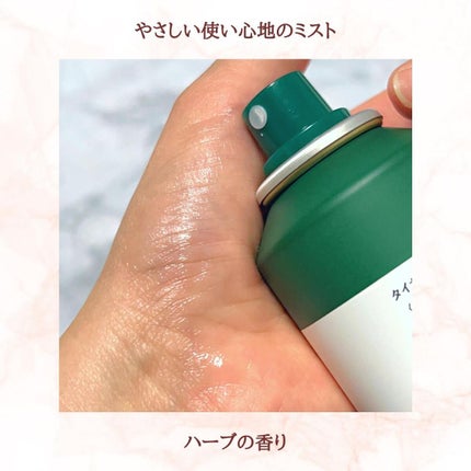 薬用 CICA ウォーターミスト/タイガレイド/ミスト状化粧水を使ったクチコミ(2枚目)