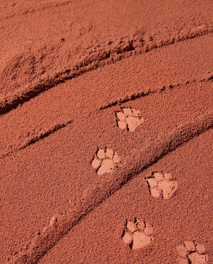 エクスプローラ12色 動物アイシャドウパレット/PERFECT DIARY/アイシャドウパレットを使ったクチコミ（3枚目）