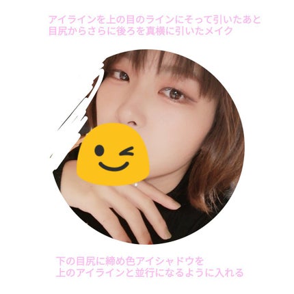 「密着アイライナー」しなやか筆リキッド/デジャヴュ/リキッドアイライナーを使ったクチコミ(4枚目)