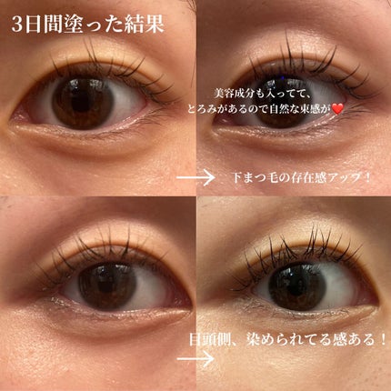 ラッシュティント/MAJOLICA MAJORCA/マスカラを使ったクチコミ(6枚目)