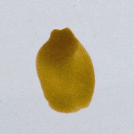 カラフルネイルズ/キャンメイク/マニキュアを使ったクチコミ(4枚目)