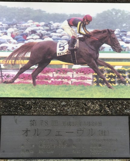 まめ子 on LIPS 「今年の天皇賞・秋行ってきました〜✨私の推しタニノギムレットの産..」(6枚目)