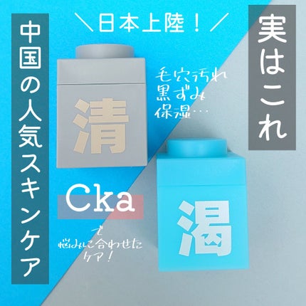 クレイパック 清 ライトグレー(しっとり)/C+/洗い流すパック・マスクを使ったクチコミ(1枚目)