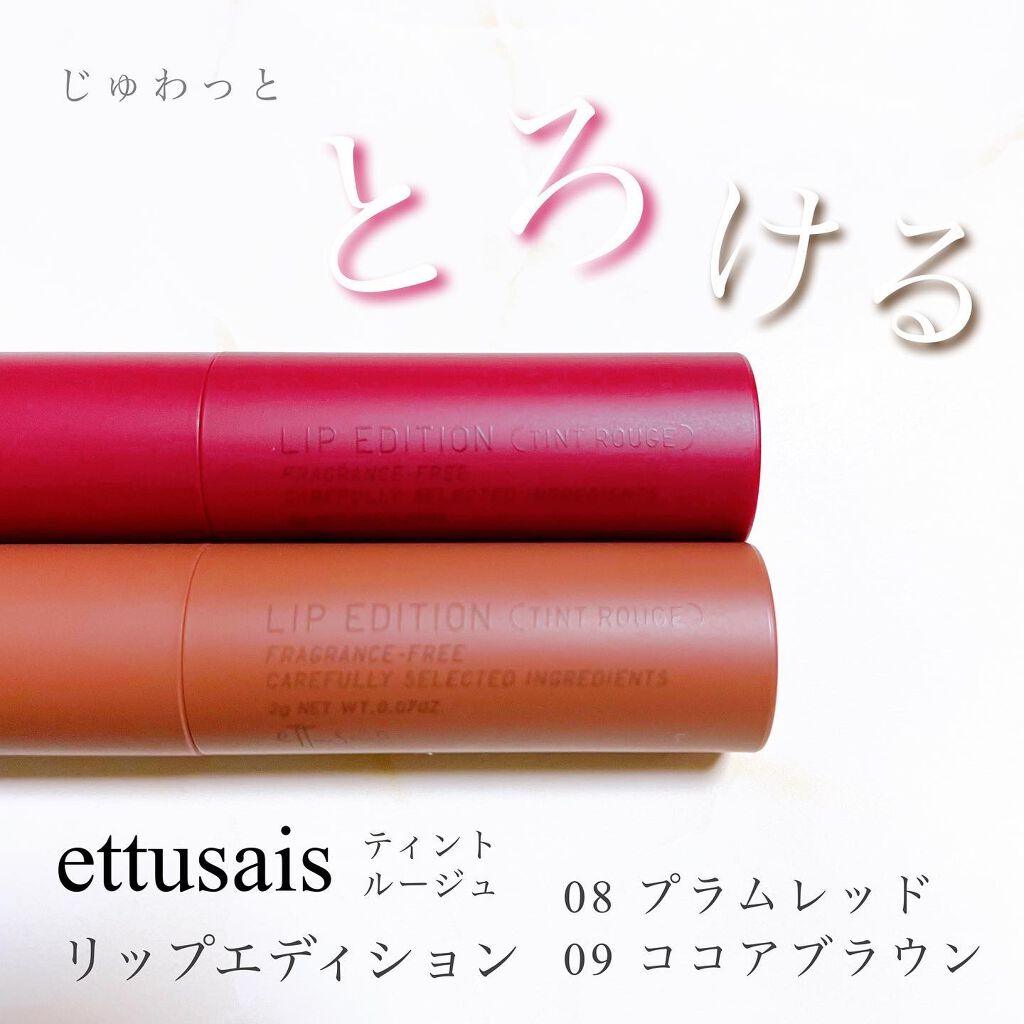 エテュセ リップエディション(ティントルージュ) 08 プラムレッド/ettusais/リップティントを使ったクチコミ（1枚目）