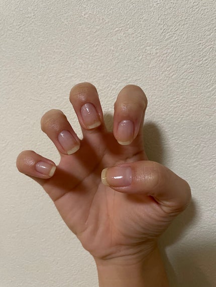 を使ったクチコミ(2枚目)