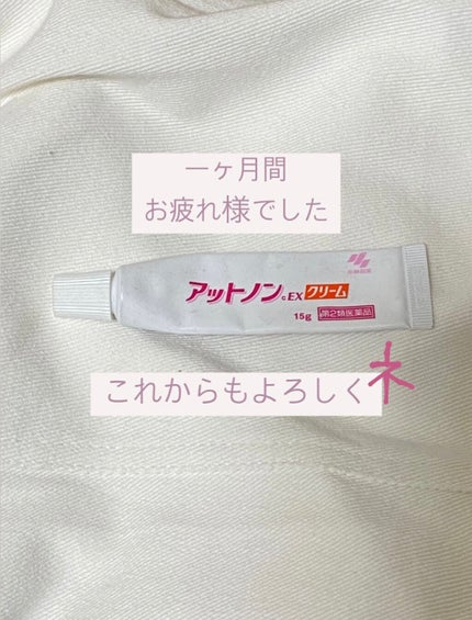 アットノンEX クリーム(医薬品)/アットノン/その他を使ったクチコミ(1枚目)