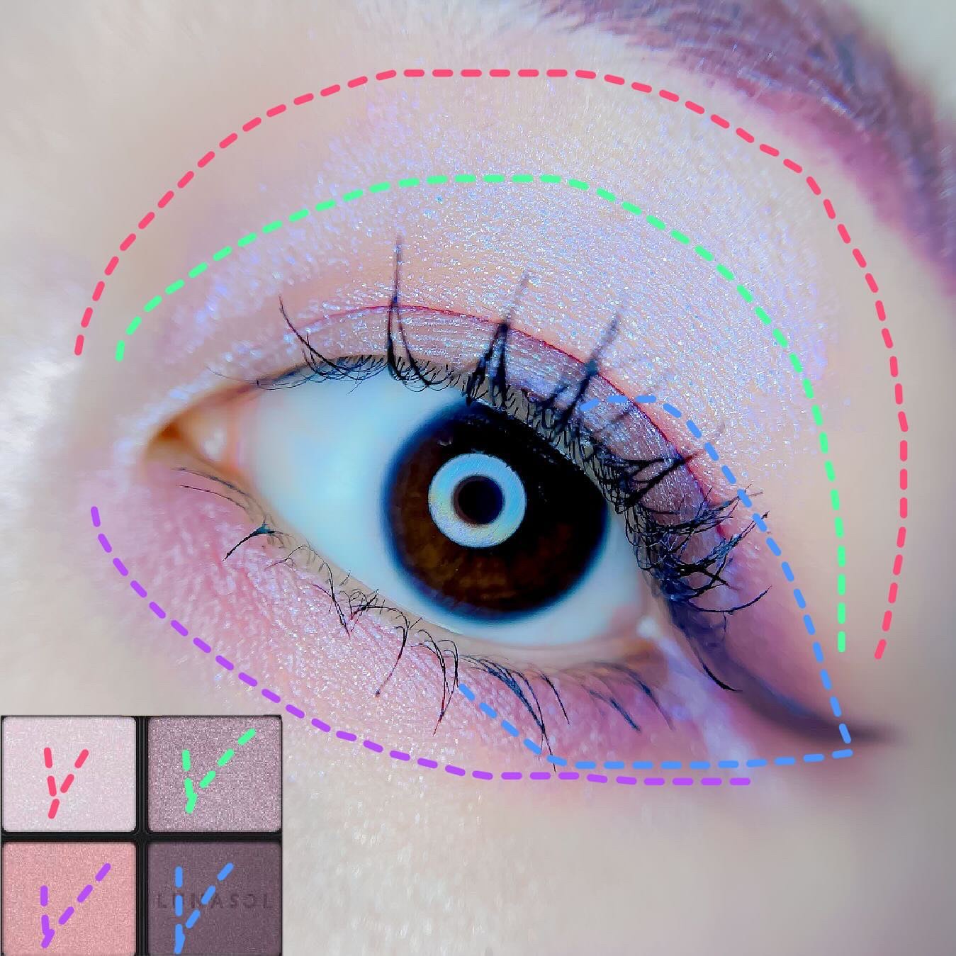 アイカラーレーション/LUNASOL/アイシャドウパレットを使ったクチコミ（2枚目）