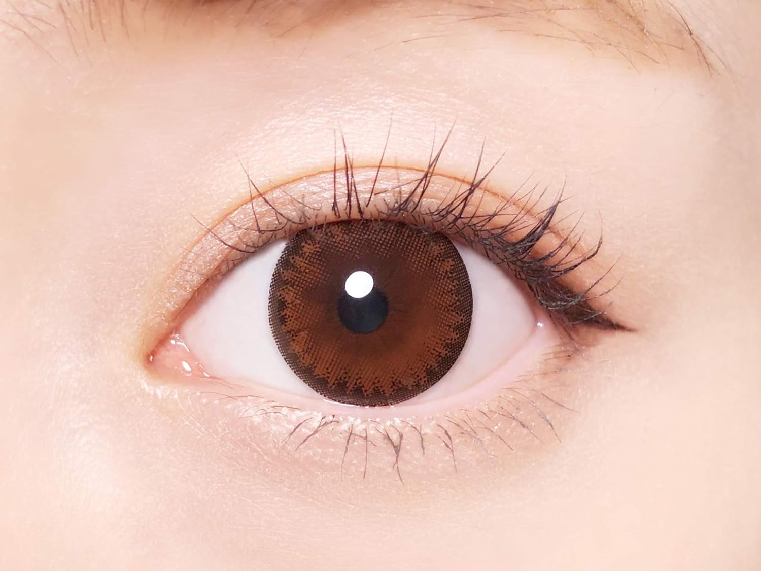 キャンディーバニー