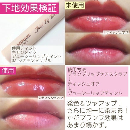 プランプリップケアスクラブ/キャンメイク/リップスクラブを使ったクチコミ(3枚目)