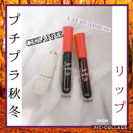 ラスティング リップカラーN/CEZANNE/口紅を使ったクチコミ(1枚目)