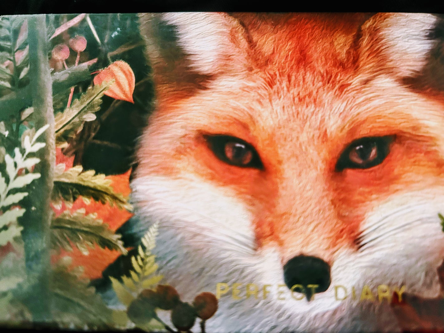 エクスプローラ12色 動物アイシャドウパレット/PERFECT DIARY/アイシャドウパレットを使ったクチコミ(3枚目)