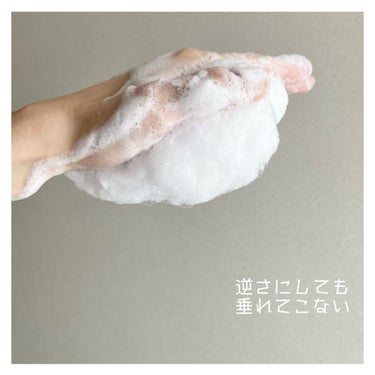 リフレッシング クリーミィ ウォッシュａ/KANEBO/洗顔フォームを使ったクチコミ（5枚目）