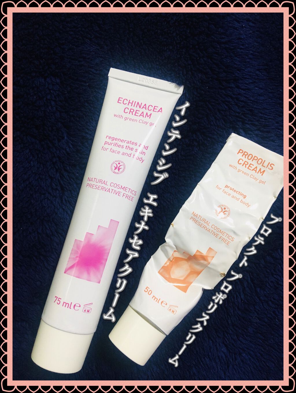 インテンシブ エキナセアクリーム/ARGITAL/フェイスクリームを使ったクチコミ（3枚目）