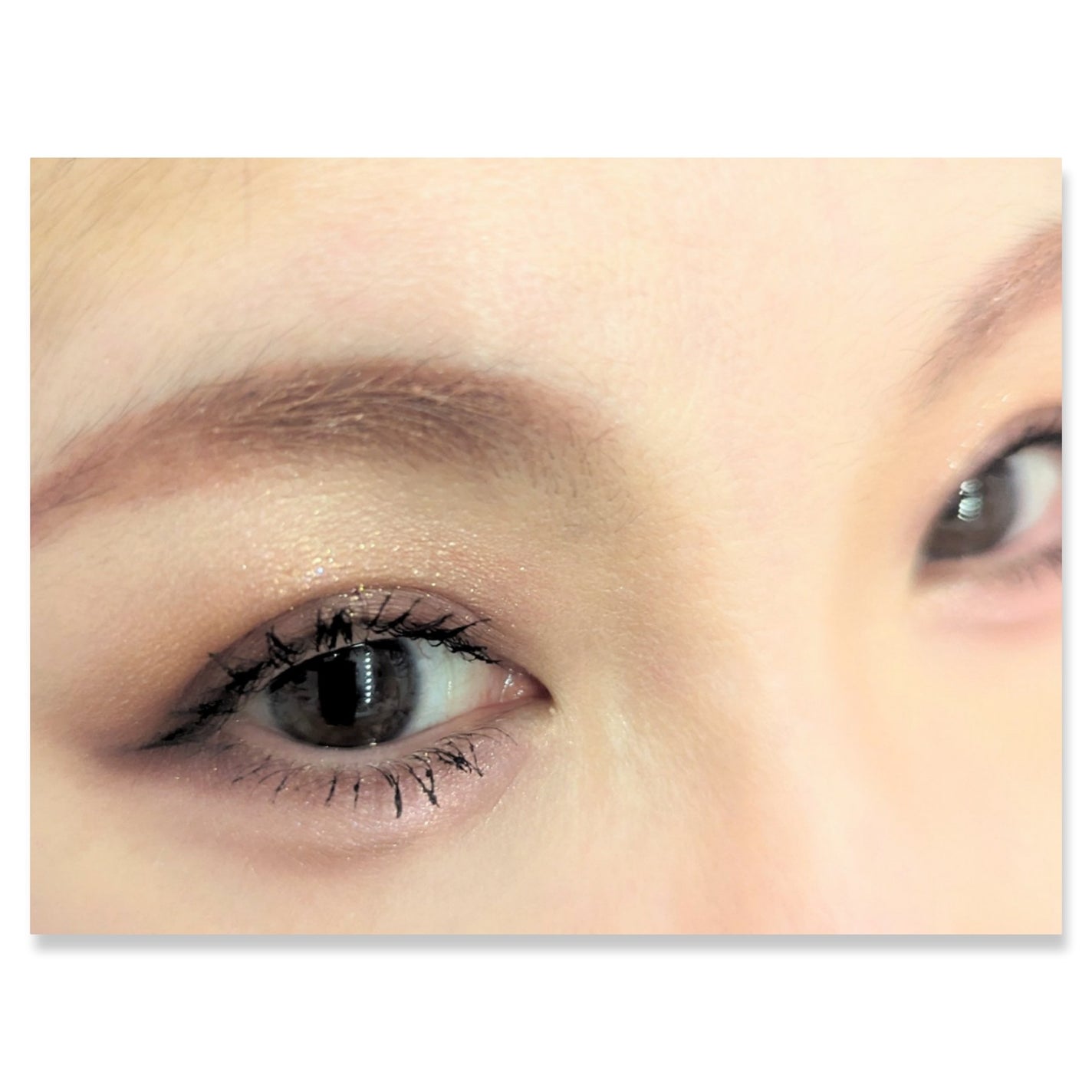 グラデーション アイシャドウ/ちふれ/アイシャドウパレットを使ったクチコミ(2枚目)