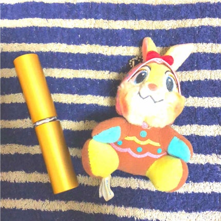 ごくふわっ春姫スライド式携帯メイクブラシ/DAISO/メイクブラシを使ったクチコミ(1枚目)