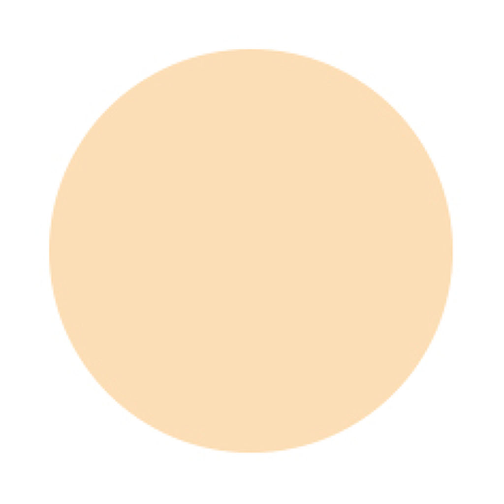 ミネラルモイストパウダー ファンデーション SPF19 PA++(ミニジャータイプ) 101 アイボリー