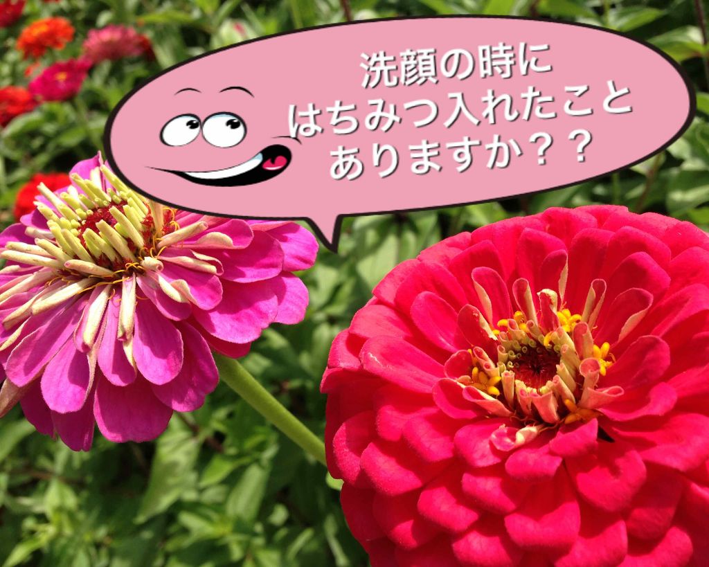 ロゼット洗顔パスタ ホワイトダイヤ/ロゼット/洗顔フォームを使ったクチコミ（1枚目）