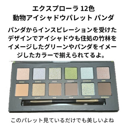 エクスプローラ12色 動物アイシャドウパレット/PERFECT DIARY/アイシャドウパレットを使ったクチコミ(2枚目)