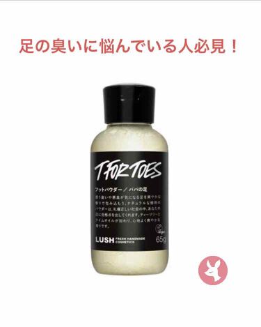 素足のtブレーク パパの足 ラッシュの使い方を徹底解説 Lushのパパの足です 口コミが良かったの By れみ 普通肌 代前半 Lips