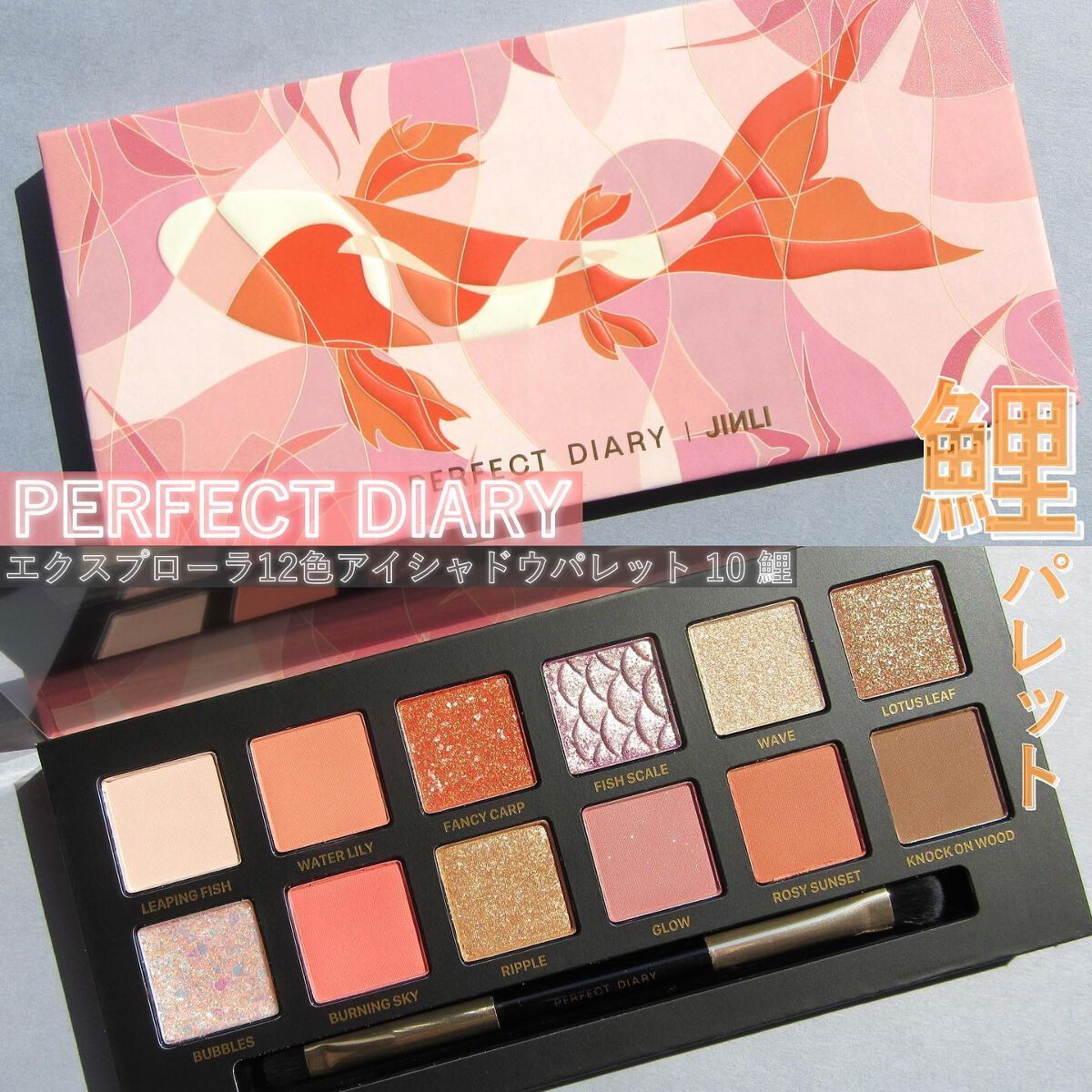 エクスプローラ12色 動物アイシャドウパレット/PERFECT DIARY/アイシャドウパレットを使ったクチコミ（1枚目）