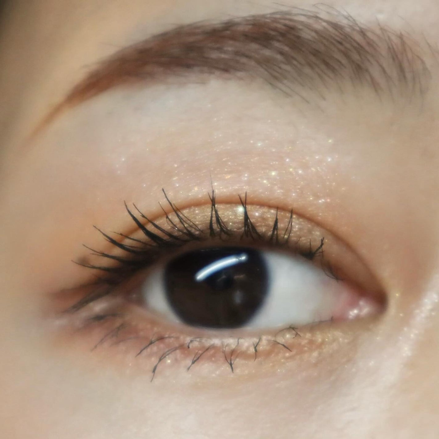 ニュアンスカラーアイズ/Enamor/アイシャドウパレットを使ったクチコミ(6枚目)