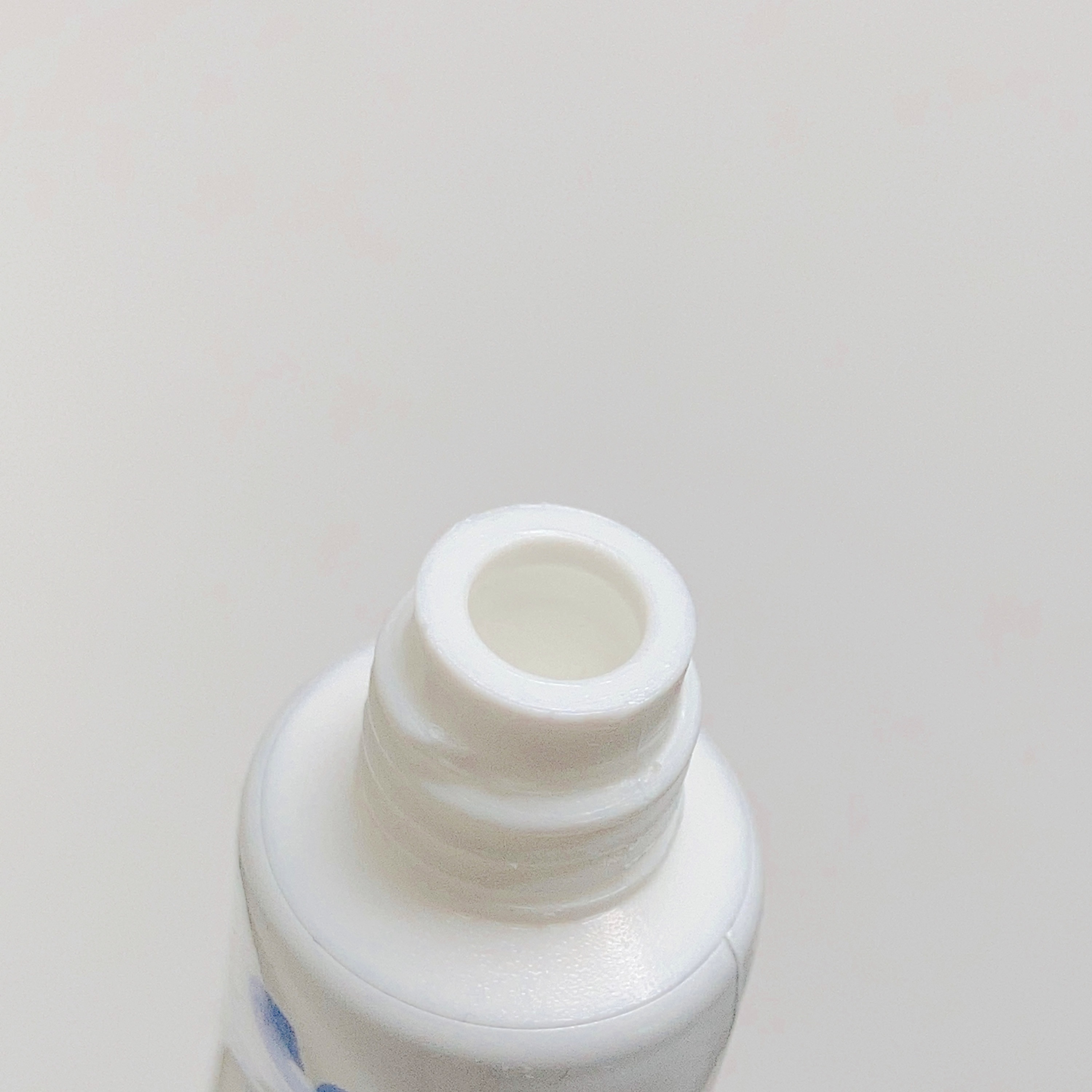 GRAY SALT/SALTRAIN/歯磨き粉を使ったクチコミ（3枚目）