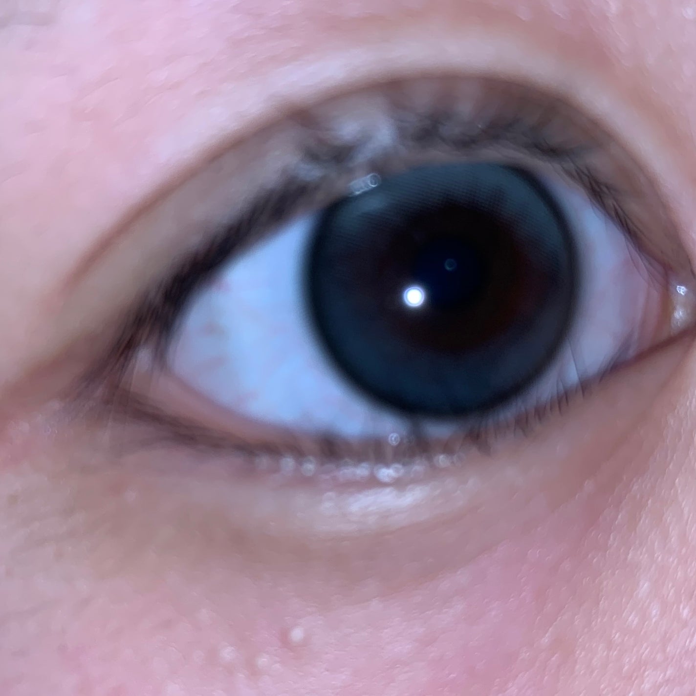 MOLAK 1day/MOLAK/ワンデー(1DAY)カラコンを使ったクチコミ(2枚目)