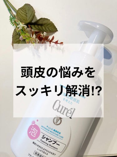 キュレル 泡シャンプーのクチコミ「頭皮の悩みってありますか？

夏になったせいなのか、
育児でゆっくりお風呂に入れないせいなのか.....」（1枚目）