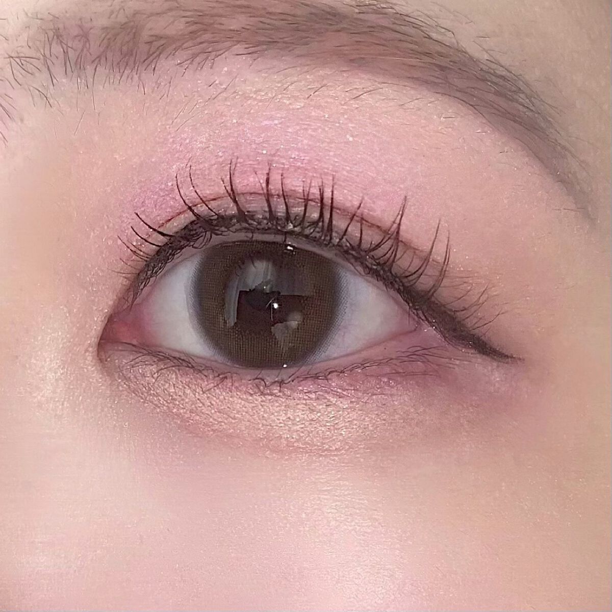 シャドウパレット/dasique/アイシャドウパレットを使ったクチコミ(5枚目)