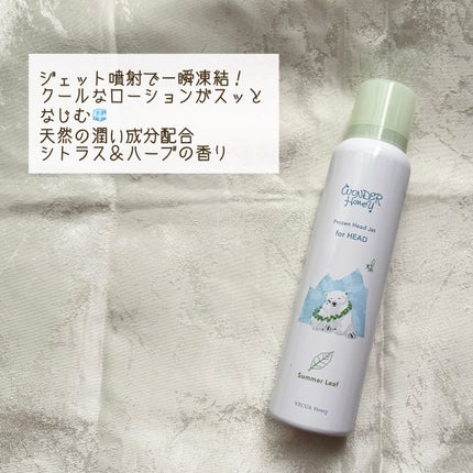 ワンダーハニー フローズンヘッドジェット サマーリーフ/VECUA Honey/頭皮ローションを使ったクチコミ(2枚目)