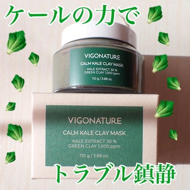 VIGONATURE カームケールクレイマスク のクチコミ「vigonature
カームケールクレイマスク❤︎

韓国のヴィーガンスキンケアブランドvig.....」（1枚目）