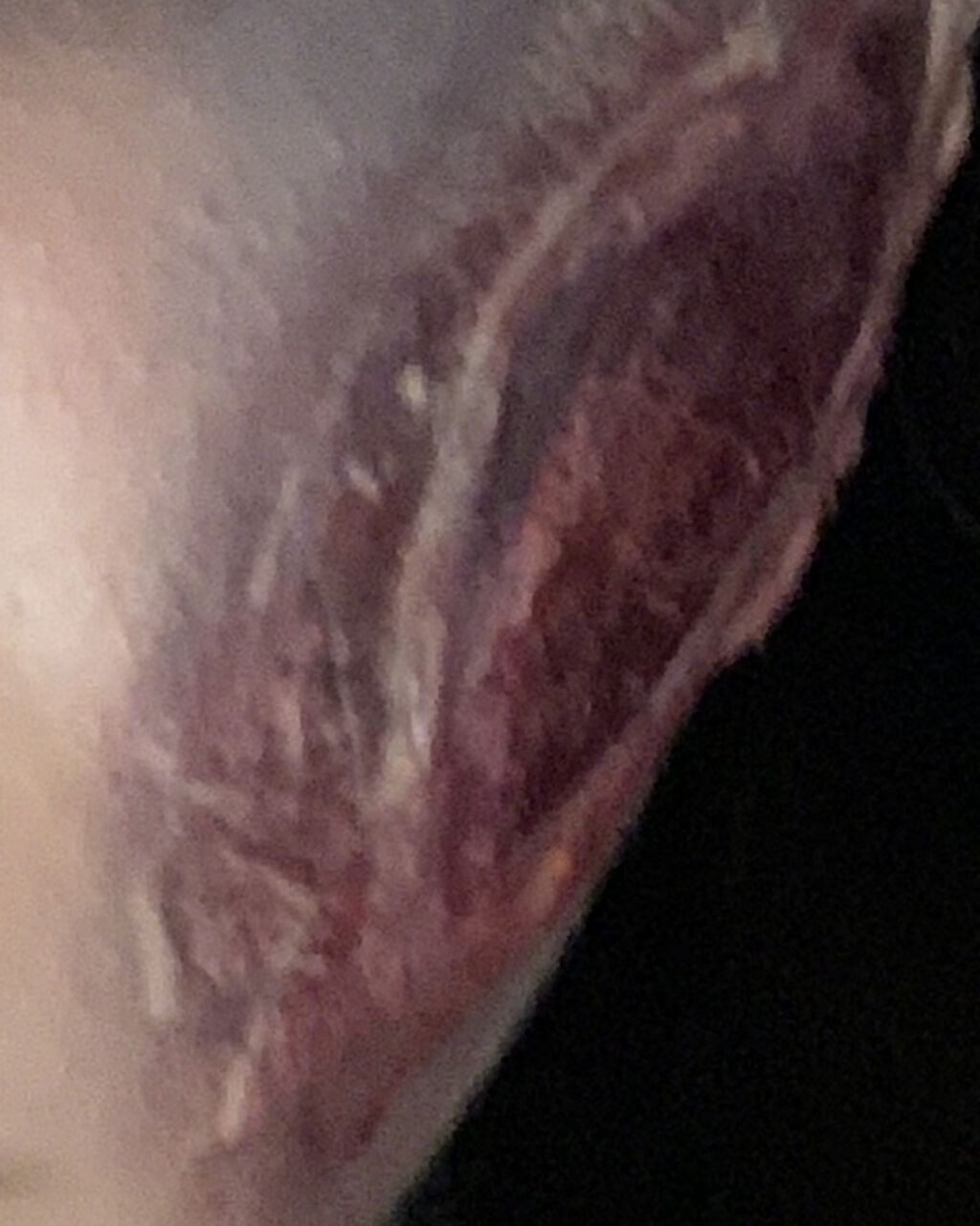 つけまつげ用接着剤/DAISO/つけまつげを使ったクチコミ（1枚目）