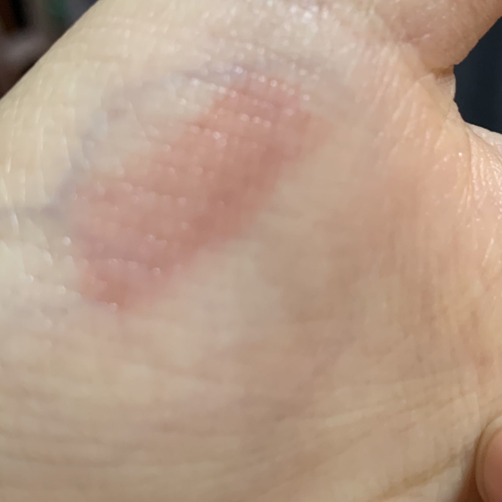 デュイフルウォーターティント/rom&nd/リップティントを使ったクチコミ（3枚目）