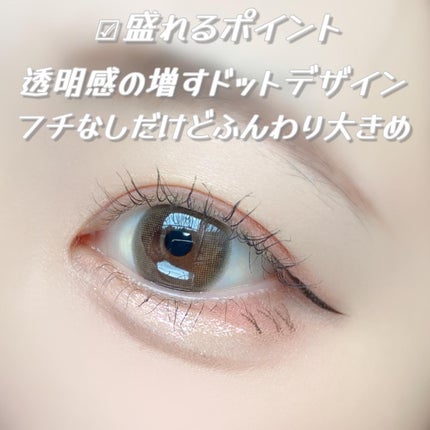 エバーカラーワンデー ナチュラル/エバーカラー/ワンデー(1DAY)カラコンを使ったクチコミ(4枚目)