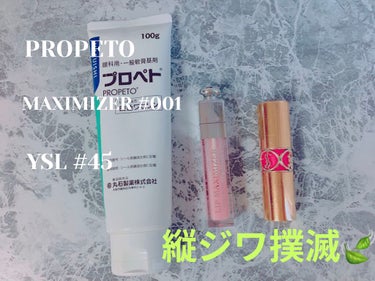 【旧】ディオール アディクト リップ マキシマイザー/Dior/リップグロスを使ったクチコミ（1枚目）