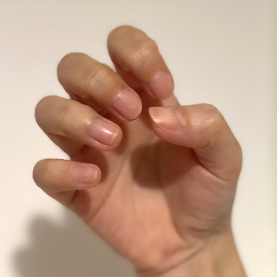 MGEL 粘土タイプ/チップ用ジェル/Mpetit Japan/ジェルネイルを使ったクチコミ（3枚目）