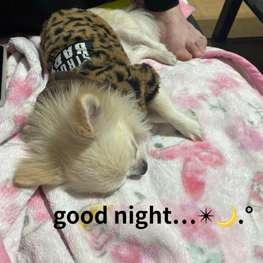 トップ シークレット リップ パーフェクター/YVES SAINT LAURENT BEAUTE/リップケアを使ったクチコミ(4枚目)