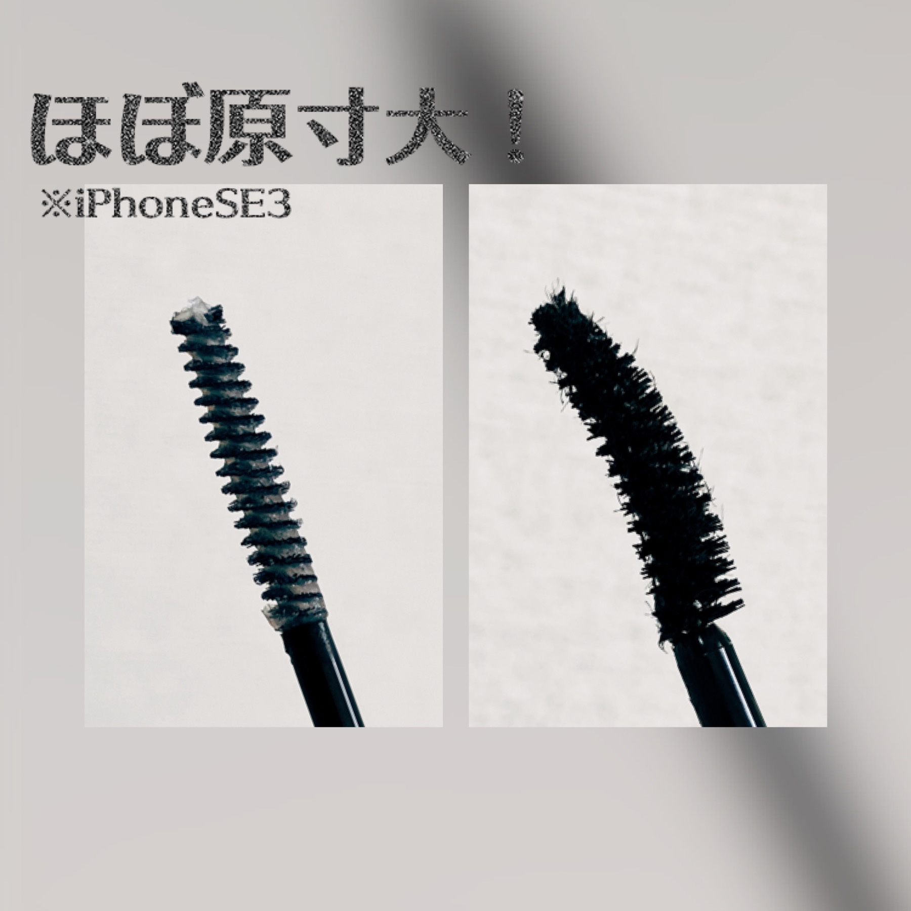 ウルトラ WP マスカラ(ナチュラル)/FASIO/マスカラを使ったクチコミ（2枚目）