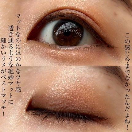 シルキースフレアイズ(マットタイプ)/キャンメイク/アイシャドウパレットを使ったクチコミ(4枚目)