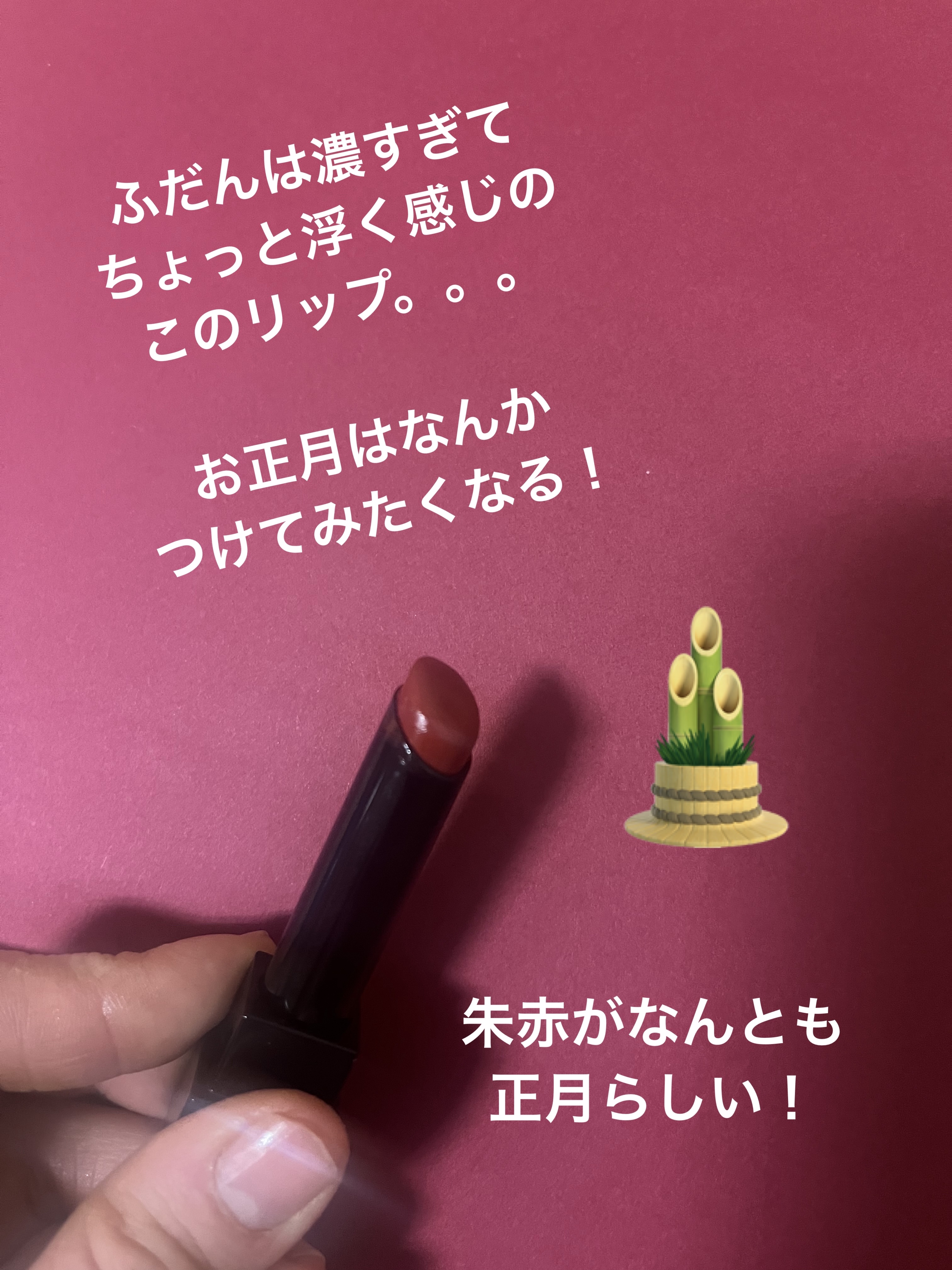 ケイト リップモンスター 10 地底探索 (web限定色)/KATE/口紅を使ったクチコミ（2枚目）