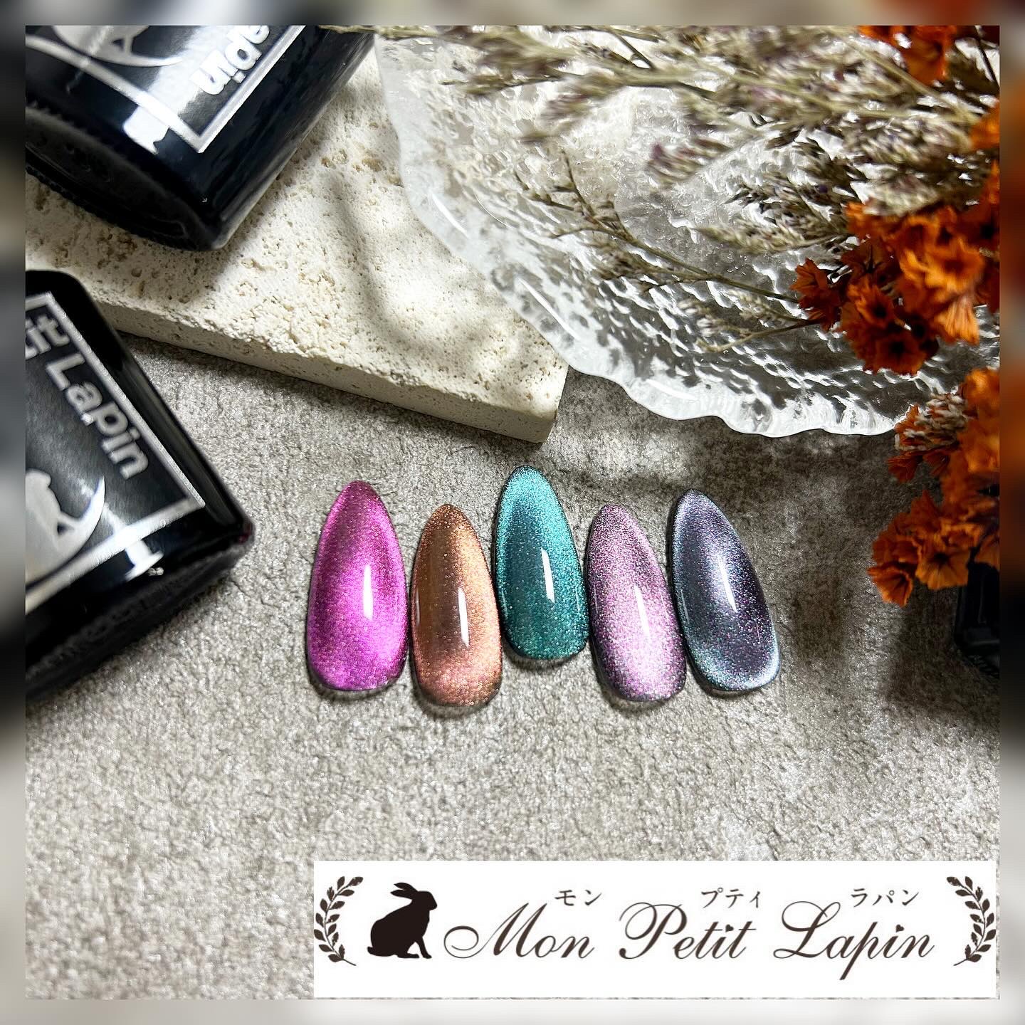 マグネットナイトスカイジェル/mon petit lapin/ジェルネイルを使ったクチコミ（1枚目）