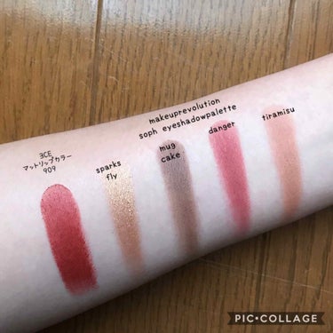 Revolution Soph Eyeshadow Palette/MAKEUP REVOLUTION/アイシャドウパレットを使ったクチコミ（3枚目）