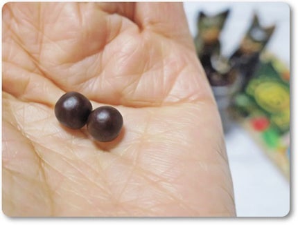 さくらの森 まあるい生酵素のクチコミ「名前の通りまあるいコロンと可愛いサプリメントです。
見れば見るほど、子供の頃に飲まされてた正.....」(1枚目)