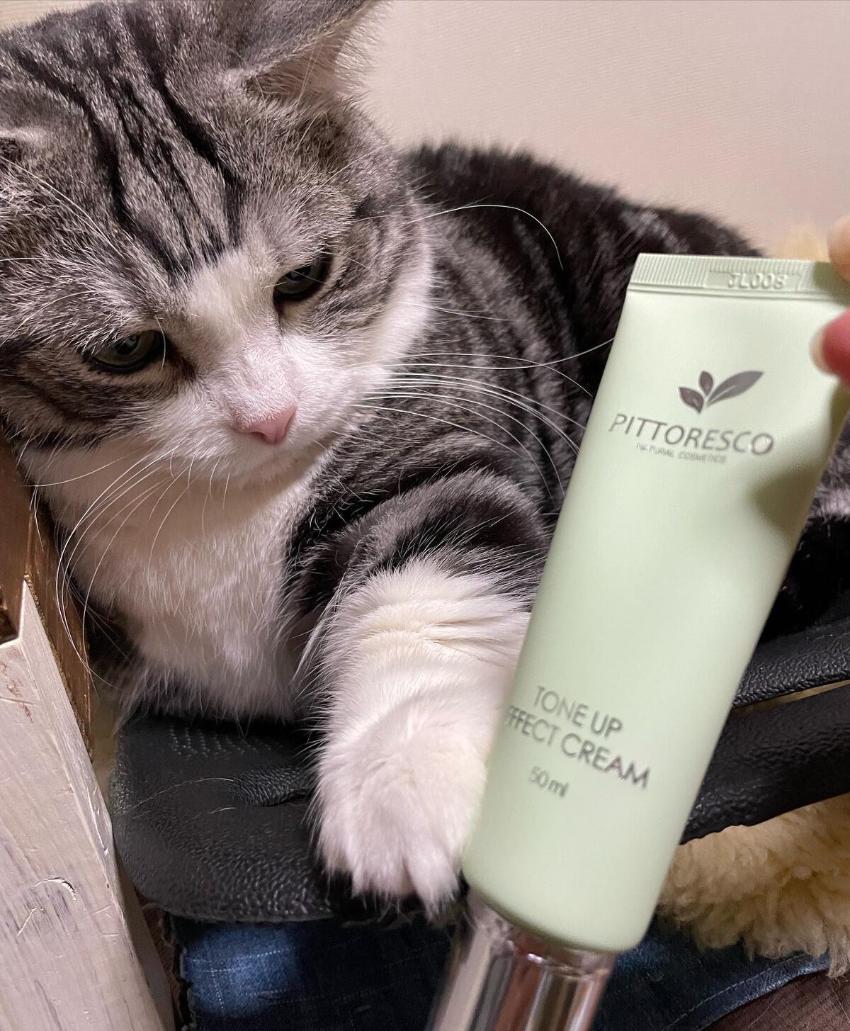 トーンアップエフェクトクリーム/Pittoresco/化粧下地を使ったクチコミ（3枚目）