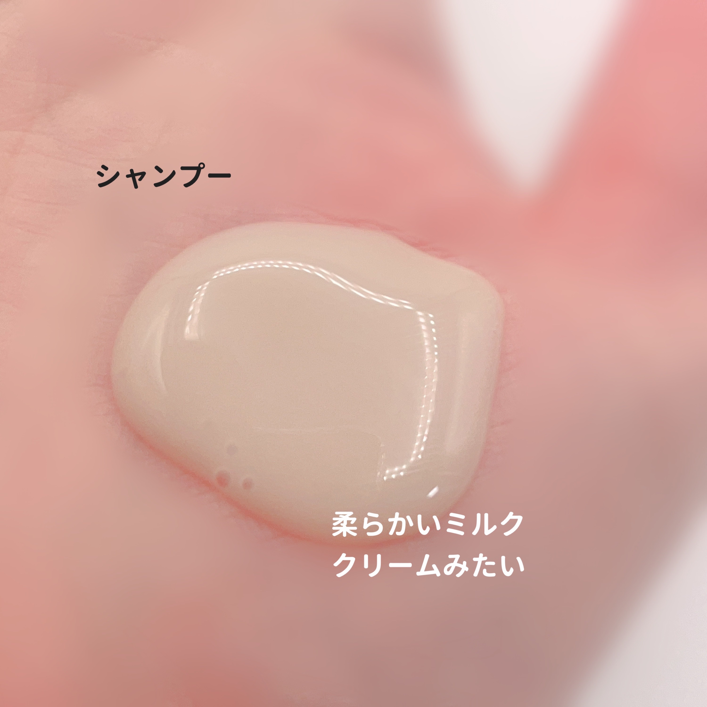 ブラックティー ナリッシング スカルプシャンプー/トリートメント/ANILLO/市販シャンプーを使ったクチコミ（2枚目）